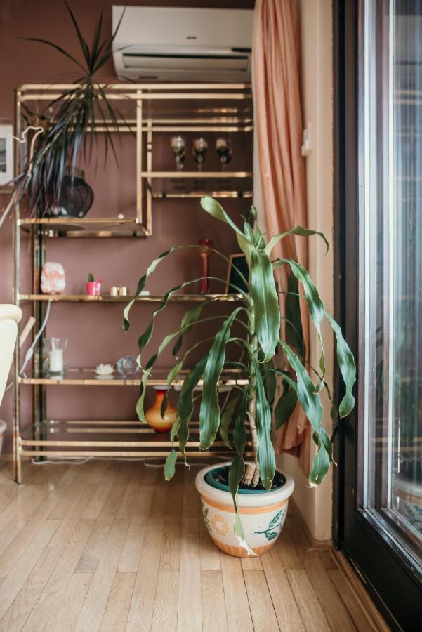 Apartments Ivana Драмал Екстериор снимка